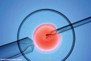 本院简介